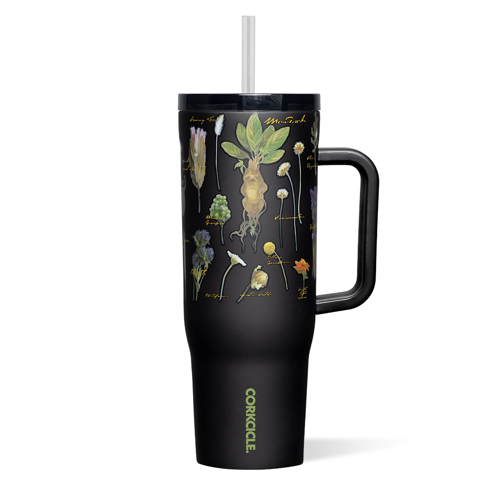 harry-potter-cruiser-w6 HP2240HERB-01_d86d6e99-be92-486f-b23d-914684068877.png
