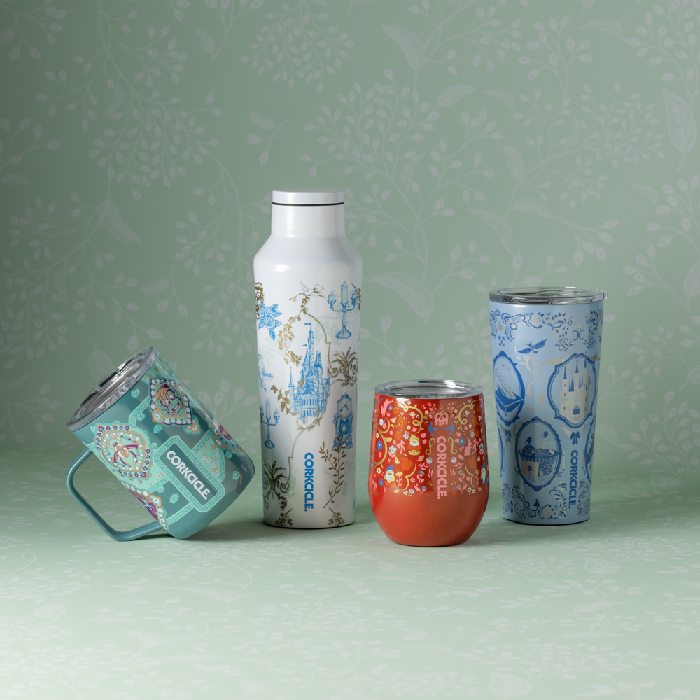 disney-princess-sport-canteen-f6 84b6e9c60eca--Disney-Princess-Group-5-1000x1000.png