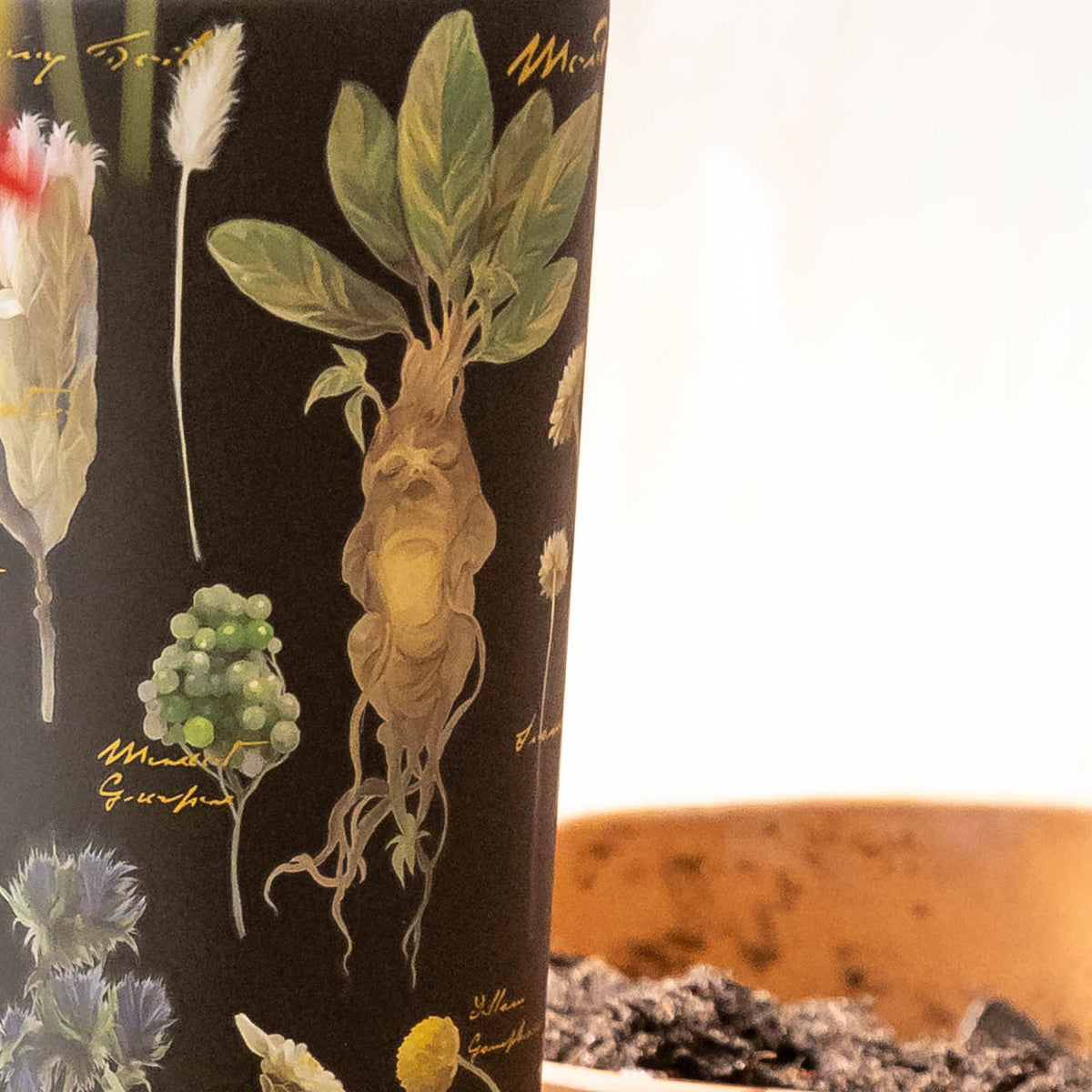 harry-potter-cold-cup-h3 Herbology-3.jpg